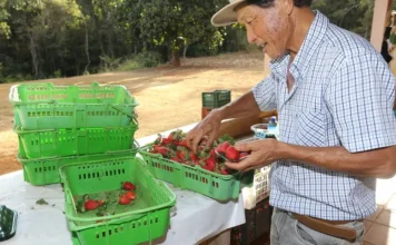 Finep destina R$ 220 milhões para inovação na agricultura familiar