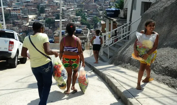 941918-alimentos_morro alemao_tng3889 (1)