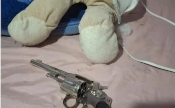 Mulher é presa com revólver escondido em urso de pelúcia