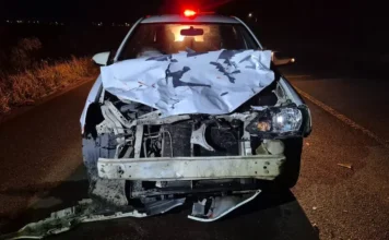 Bois soltos provocam acidente na Estrada do Mar
