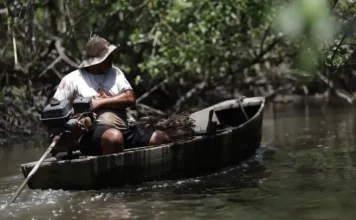 INSS libera R$ 874 milhões para pescadores