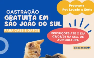 São João do Sul abre inscrições para castração gratuita de pets