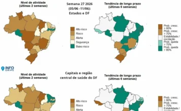InfoGripe aponta queda de casos de VSR no país