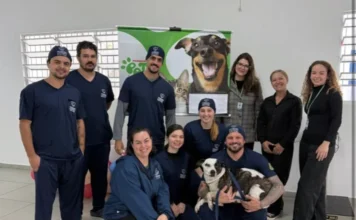 Cocal do Sul chega a 182 castrações gratuitas de pets Equipe do programa Pet Levado a Sério participa de ação de castração gratuita de cães e gatos em Cocal do Sul.