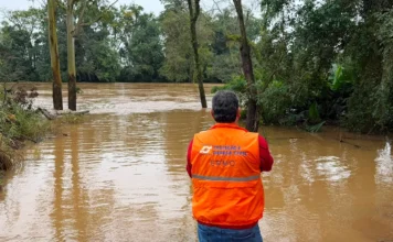 Defesa Civil realiza simulado de emergência em Ermo Agente da Defesa Civil de Ermo vestindo colete laranja observa o nível elevado das águas barrentas de um rio cercado por árvores durante monitoramento de emergência.