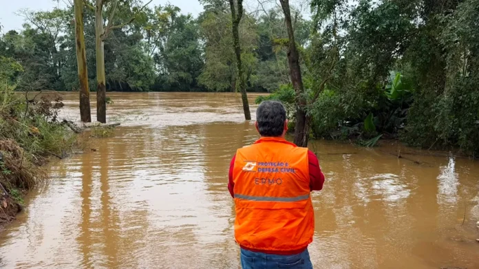 Defesa Civil realiza simulado de emergência em Ermo Agente da Defesa Civil de Ermo vestindo colete laranja observa o nível elevado das águas barrentas de um rio cercado por árvores durante monitoramento de emergência.