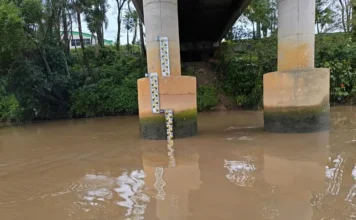 Nova régua vai monitorar nível do rio em Araranguá Régua de medição instalada pela Defesa Civil na Ponte Giacomo Mazzuco, no bairro Barranca, em Araranguá, para monitorar o nível do Rio Araranguá.