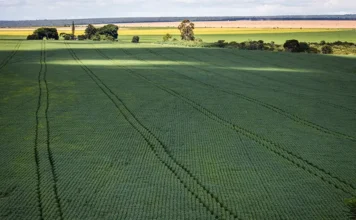 Receita libera versão web para declaração do ITR 2026 Área de cultivo em propriedade rural relacionada à declaração do ITR 2026 e ao novo serviço online da Receita Federal.