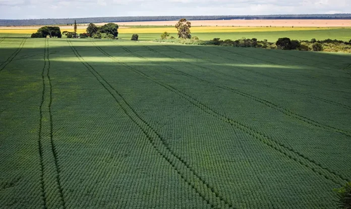 Receita libera versão web para declaração do ITR 2026 Área de cultivo em propriedade rural relacionada à declaração do ITR 2026 e ao novo serviço online da Receita Federal.