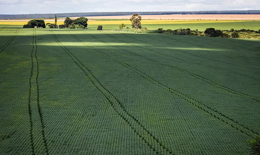 Receita libera versão web para declaração do ITR 2026 Área de cultivo em propriedade rural relacionada à declaração do ITR 2026 e ao novo serviço online da Receita Federal.