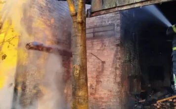 Incêndio atinge estufa em Ermo durante a madrugada