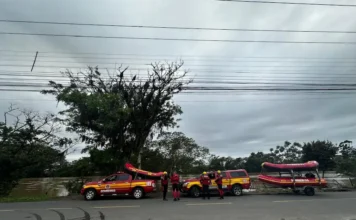 Mais de 40 pessoas e animais são resgatados após alagamentos