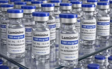 Polilaminina inicia testes em humanos neste mês