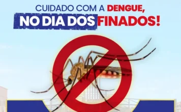 Finados exige atenção à prevenção da dengue