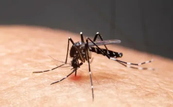Mudanças climáticas ampliam doenças infecciosas no Brasil